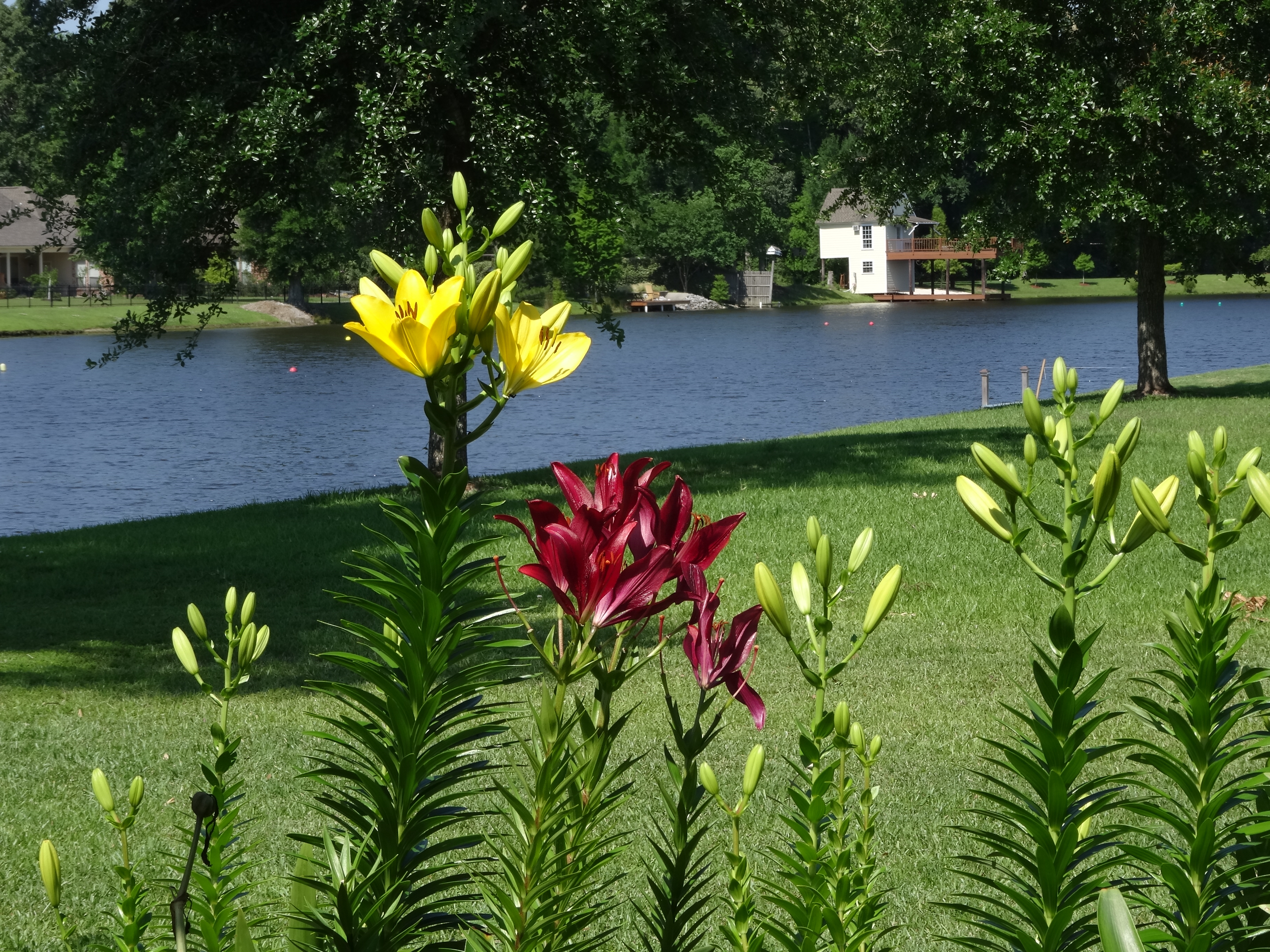 Lakes At Ascension Crossing