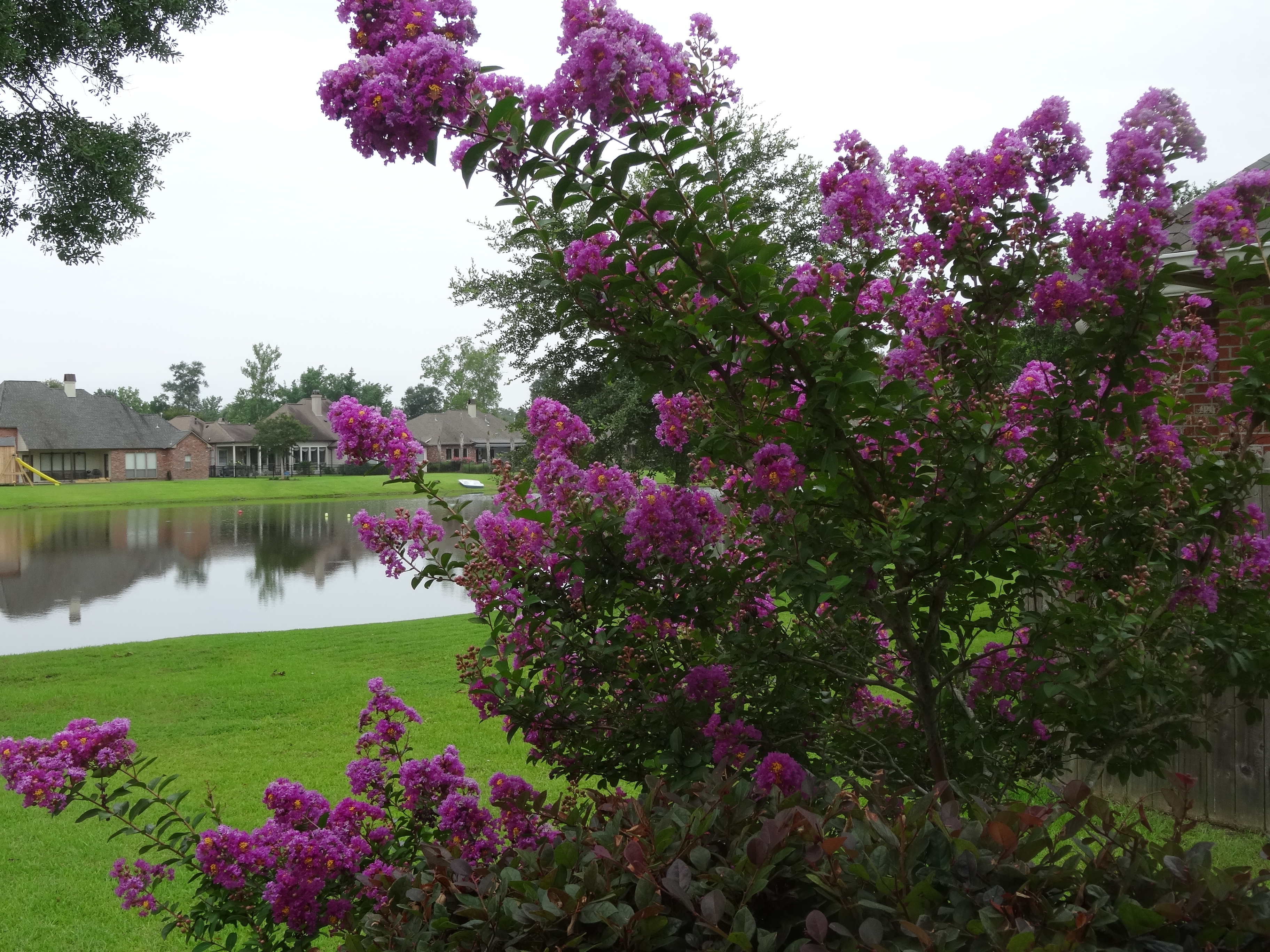 Lakes At Ascension Crossing